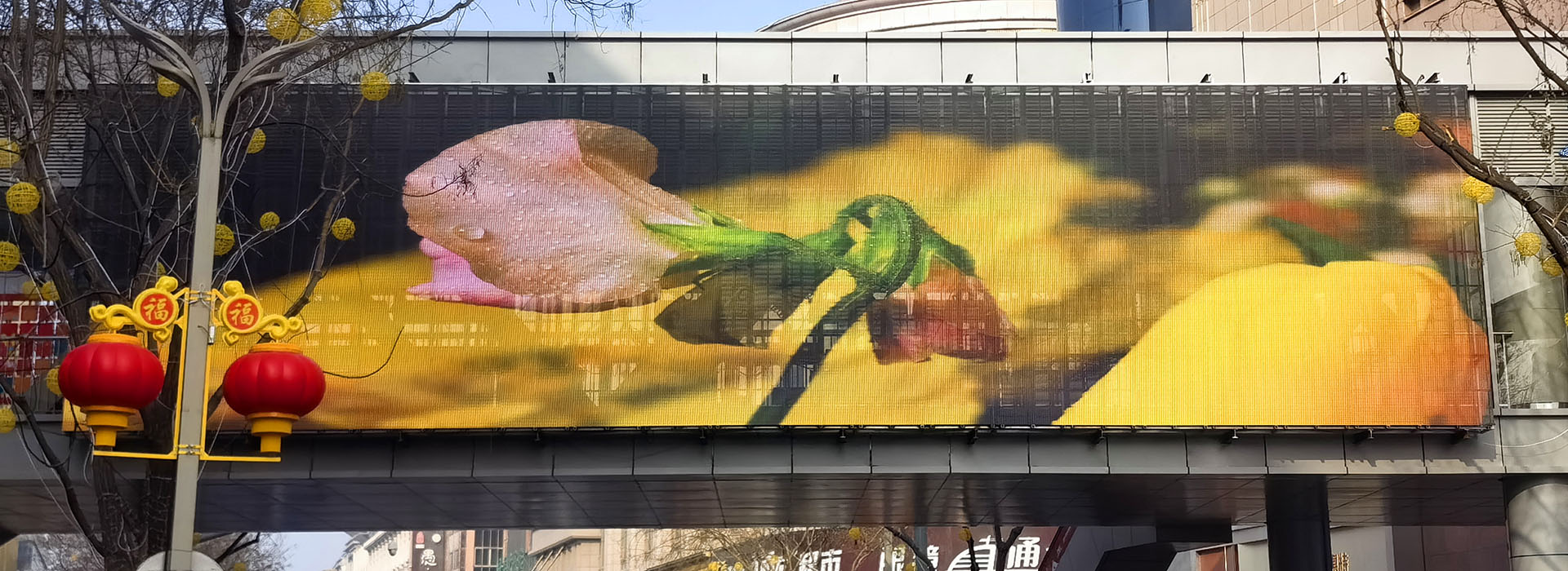 Outdoor Transparent LED